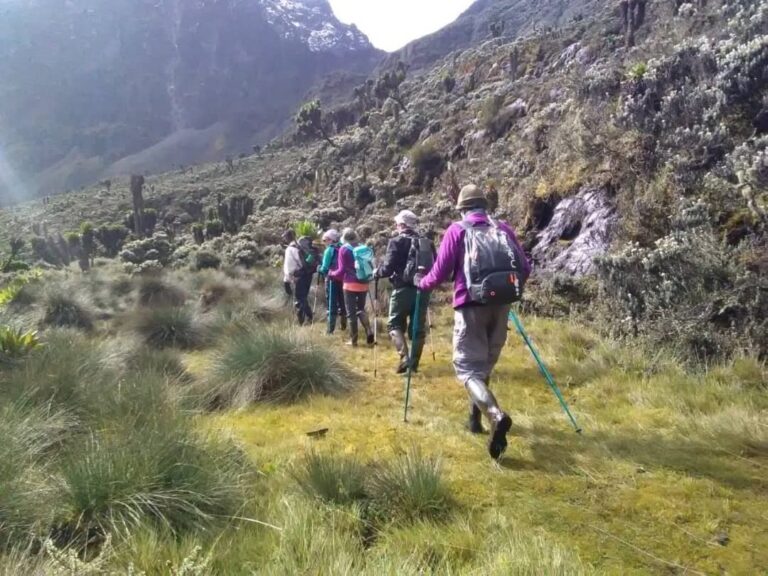 Rwenzori trekking Experience - Ruboni Community Tourism Camp